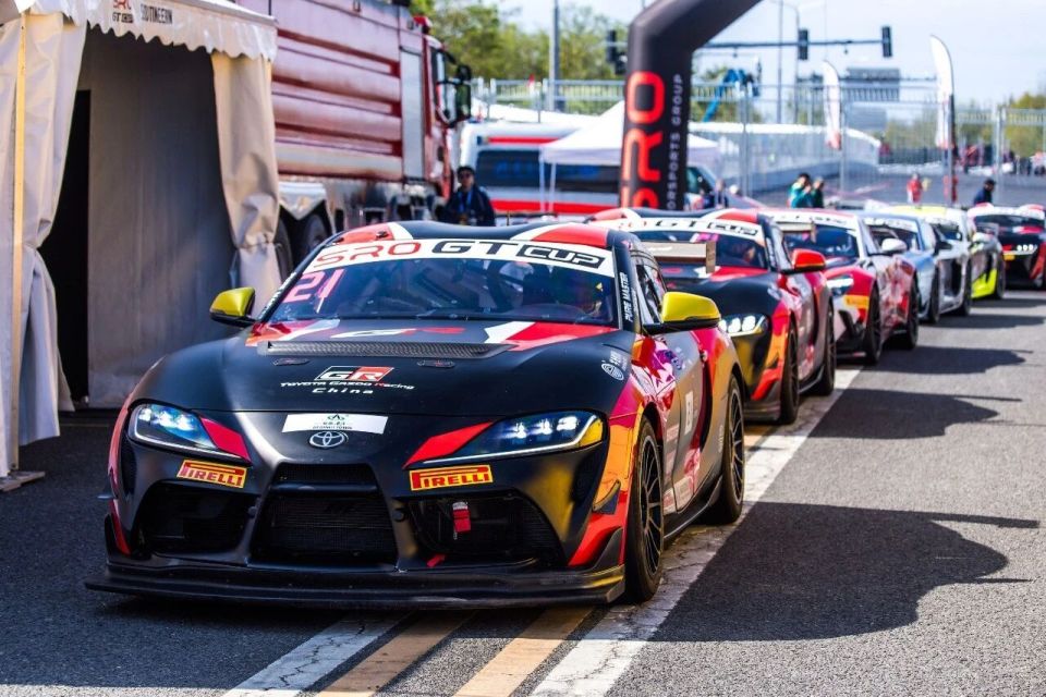 的不俗表现 的不俗表现